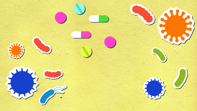 益生菌知識 益生菌分類