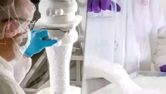 益生菌凍干工藝 益生菌凍干工藝