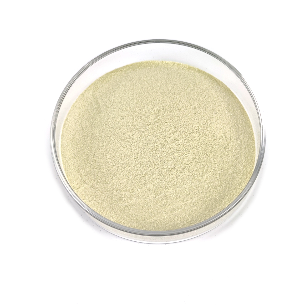 發(fā)酵乳桿菌 發(fā)酵乳桿菌